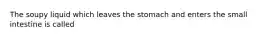 The soupy liquid which leaves the stomach and enters the small intestine is called