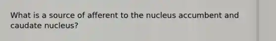 What is a source of afferent to the nucleus accumbent and caudate nucleus?