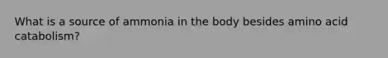 What is a source of ammonia in the body besides amino acid catabolism?