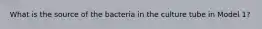 What is the source of the bacteria in the culture tube in Model 1?