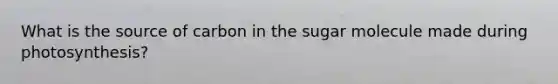 What is the source of carbon in the sugar molecule made during photosynthesis?