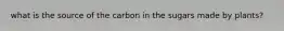 what is the source of the carbon in the sugars made by plants?