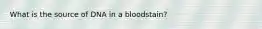 What is the source of DNA in a bloodstain?