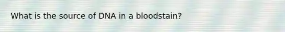 What is the source of DNA in a bloodstain?