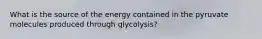 What is the source of the energy contained in the pyruvate molecules produced through glycolysis?