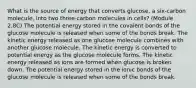 What is the source of energy that converts glucose, a six-carbon molecule, into two three-carbon molecules in cells? (Module 2.8C) The potential energy stored in the covalent bonds of the glucose molecule is released when some of the bonds break. The kinetic energy released as one glucose molecule combines with another glucose molecule. The kinetic energy is converted to potential energy as the glucose molecule forms. The kinetic energy released as ions are formed when glucose is broken down. The potential energy stored in the ionic bonds of the glucose molecule is released when some of the bonds break.