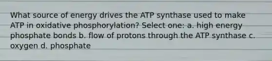 What source of energy drives the ATP synthase used to make ATP in oxidative phosphorylation? Select one: a. high energy phosphate bonds b. flow of protons through the ATP synthase c. oxygen d. phosphate