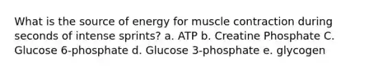 What is the source of energy for muscle contraction during seconds of intense sprints? a. ATP b. Creatine Phosphate C. Glucose 6-phosphate d. Glucose 3-phosphate e. glycogen