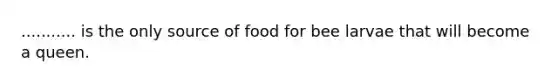 ........... is the only source of food for bee larvae that will become a queen.