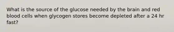 What is the source of the glucose needed by the brain and red blood cells when glycogen stores become depleted after a 24 hr fast?