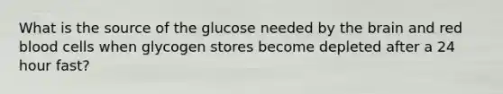 What is the source of the glucose needed by the brain and red blood cells when glycogen stores become depleted after a 24 hour fast?