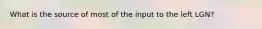 What is the source of most of the input to the left LGN?