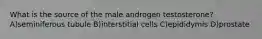 What is the source of the male androgen testosterone? A)seminiferous tubule B)interstitial cells C)epididymis D)prostate