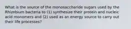 What is the source of the monosaccharide sugars used by the Rhizobium bacteria to (1) synthesize their protein and nucleic acid monomers and (2) used as an energy source to carry out their life processes?