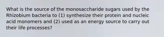 What is the source of the monosaccharide sugars used by the Rhizobium bacteria to (1) synthesize their protein and nucleic acid monomers and (2) used as an energy source to carry out their life processes?