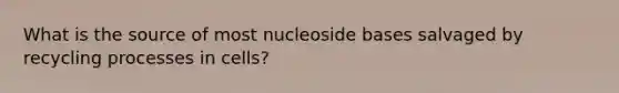 What is the source of most nucleoside bases salvaged by recycling processes in cells?