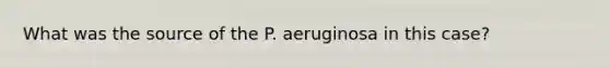 What was the source of the P. aeruginosa in this case?