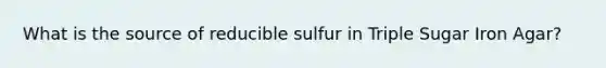 What is the source of reducible sulfur in Triple Sugar Iron Agar?