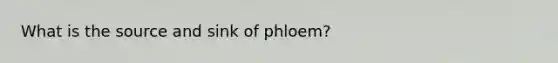 What is the source and sink of phloem?