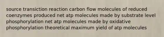 source transiction reaction carbon flow molecules of reduced coenzymes produced net atp molecules made by substrate level phosphorylation net atp molecules made by oxidative phosphorylation theoretical maximum yield of atp molecules