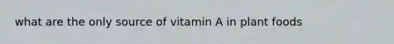 what are the only source of vitamin A in plant foods