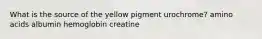 What is the source of the yellow pigment urochrome? amino acids albumin hemoglobin creatine