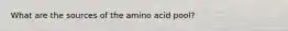 What are the sources of the amino acid pool?