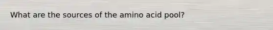 What are the sources of the amino acid pool?