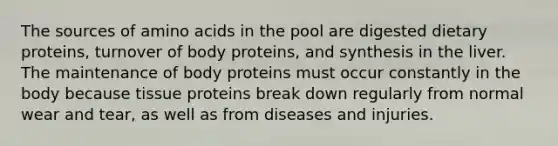 The sources of amino acids in the pool are digested dietary proteins, turnover of body proteins, and synthesis in the liver. The maintenance of body proteins must occur constantly in the body because tissue proteins break down regularly from normal wear and tear, as well as from diseases and injuries.