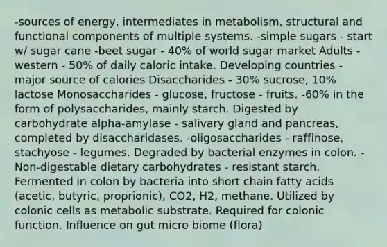 -sources of energy, intermediates in metabolism, structural and functional components of multiple systems. -simple sugars - start w/ sugar cane -beet sugar - 40% of world sugar market Adults - western - 50% of daily caloric intake. Developing countries - major source of calories Disaccharides - 30% sucrose, 10% lactose Monosaccharides - glucose, fructose - fruits. -60% in the form of polysaccharides, mainly starch. Digested by carbohydrate alpha-amylase - salivary gland and pancreas, completed by disaccharidases. -oligosaccharides - raffinose, stachyose - legumes. Degraded by bacterial enzymes in colon. -Non-digestable dietary carbohydrates - resistant starch. Fermented in colon by bacteria into short chain fatty acids (acetic, butyric, proprionic), CO2, H2, methane. Utilized by colonic cells as metabolic substrate. Required for colonic function. Influence on gut micro biome (flora)