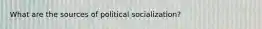 What are the sources of political socialization?