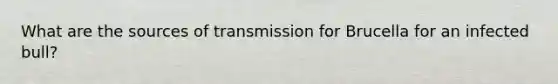 What are the sources of transmission for Brucella for an infected bull?