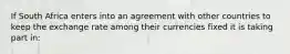 If South Africa enters into an agreement with other countries to keep the exchange rate among their currencies fixed it is taking part​ in: