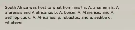 South Africa was host to what hominins? a. A. anamensis, A afarensis and A africanus b. A. boisei, A. Afarensis, and A. aethiopicus c. A. Africanus, p. robustus, and a. sediba d. whatever