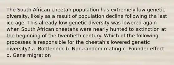 The South African cheetah population has extremely low genetic diversity, likely as a result of population decline following the last ice age. This already low genetic diversity was lowered again when South African cheetahs were nearly hunted to extinction at the beginning of the twentieth century. Which of the following processes is responsible for the cheetah's lowered genetic diversity? a. Bottleneck b. Non-random mating c. Founder effect d. Gene migration