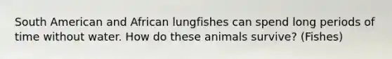 South American and African lungfishes can spend long periods of time without water. How do these animals survive? (Fishes)