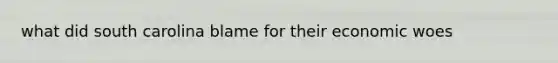 what did south carolina blame for their economic woes