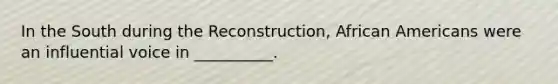 In the South during the Reconstruction, African Americans were an influential voice in __________.
