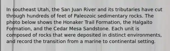 In southeast Utah, the San Juan River and its tributaries have cut through hundreds of feet of Paleozoic sedimentary rocks. The photo below shows the Honaker Trail Formation, the Halgaito Formation, and the Cedar Mesa Sandstone. Each unit is composed of rocks that were deposited in distinct environments, and record the transition from a marine to continental setting.
