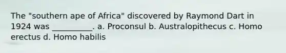 The "southern ape of Africa" discovered by Raymond Dart in 1924 was __________. a. Proconsul b. Australopithecus c. Homo erectus d. Homo habilis