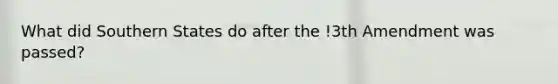 What did Southern States do after the !3th Amendment was passed?