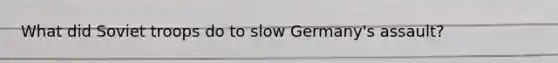 What did Soviet troops do to slow Germany's assault?