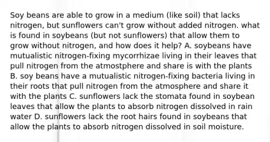 Soy beans are able to grow in a medium (like soil) that lacks nitrogen, but sunflowers can't grow without added nitrogen. what is found in soybeans (but not sunflowers) that allow them to grow without nitrogen, and how does it help? A. soybeans have mutualistic nitrogen-fixing mycorrhizae living in their leaves that pull nitrogen from the atmostphere and share is with the plants B. soy beans have a mutualistic nitrogen-fixing bacteria living in their roots that pull nitrogen from the atmosphere and share it with the plants C. sunflowers lack the stomata found in soybean leaves that allow the plants to absorb nitrogen dissolved in rain water D. sunflowers lack the root hairs found in soybeans that allow the plants to absorb nitrogen dissolved in soil moisture.