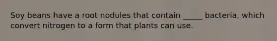 Soy beans have a root nodules that contain _____ bacteria, which convert nitrogen to a form that plants can use.