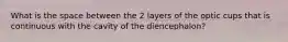 What is the space between the 2 layers of the optic cups that is continuous with the cavity of the diencephalon?