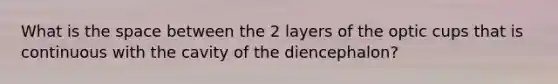 What is the space between the 2 layers of the optic cups that is continuous with the cavity of the diencephalon?