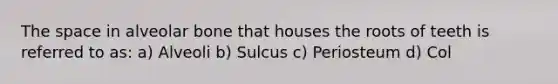 The space in alveolar bone that houses the roots of teeth is referred to as: a) Alveoli b) Sulcus c) Periosteum d) Col