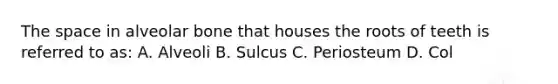 The space in alveolar bone that houses the roots of teeth is referred to as: A. Alveoli B. Sulcus C. Periosteum D. Col