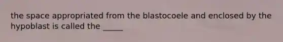 the space appropriated from the blastocoele and enclosed by the hypoblast is called the _____