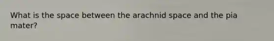 What is the space between the arachnid space and the pia mater?